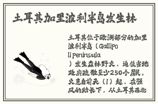 给个男人都懂的网址2019